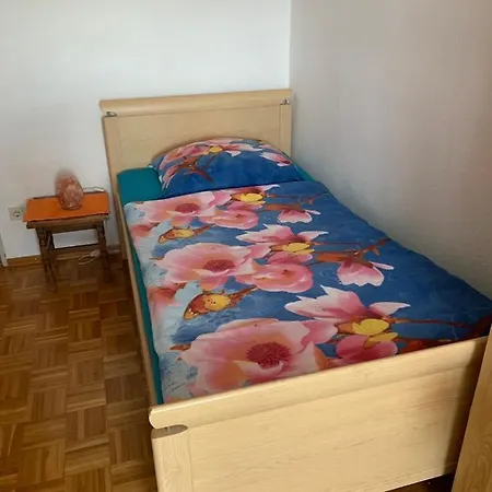 Reichenbach Appartement *