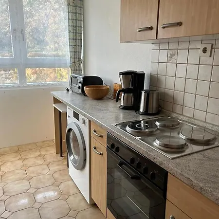Reichenbach Appartement *