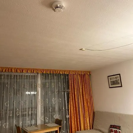 Reichenbach Appartement *