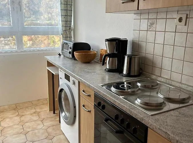 Reichenbach Apartment *